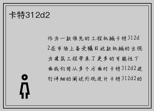 卡特312d2