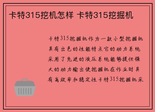 卡特315挖机怎样 卡特315挖掘机